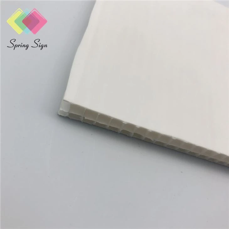 3mm Thick Corrugated Cardboard Advertising Sheet PP Sheet China
